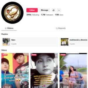 1.7M Girl Vlog Tiktok Account for sale
