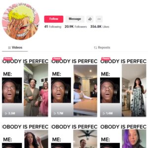 20K Babes Dance Tiktok Account for sale