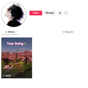 230K Blank TikTok Account for sale