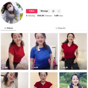 400K Girl Model TikTok Account for sale
