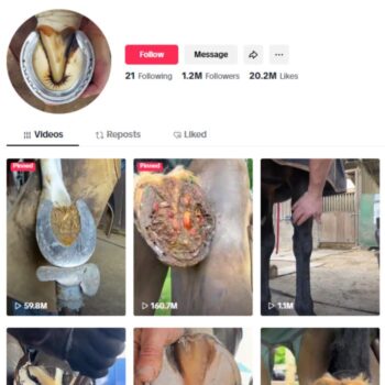 1.2M Horse Hoof Cleaning TikTok Account for sale