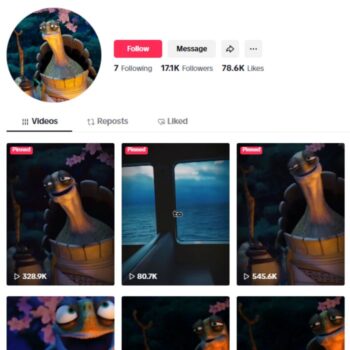 17K Success Motivation Tiktok Account for sale