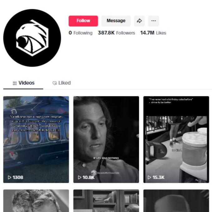 380K Motivation Success Tiktok Account for sale