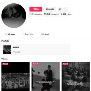 50K Quotes Love TikTok Account for sale