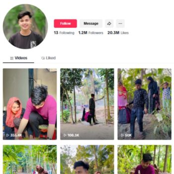 1.2M Entertainment Vlogs TikTok Account for sale