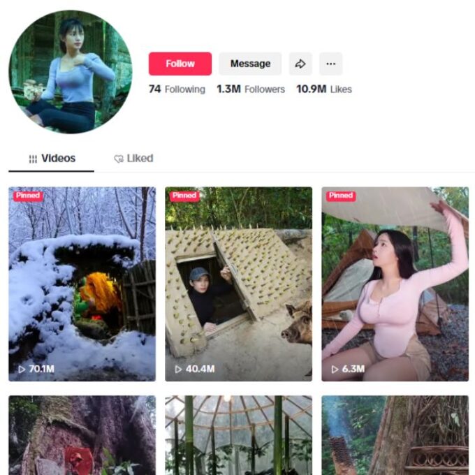 1.3M Survival Shelter Construction Tiktok Account for sale