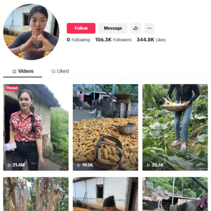 105k Farm Girl Vlog Tiktok Account for sale