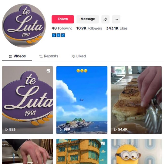 10K Food FYP TikTok Account for sale