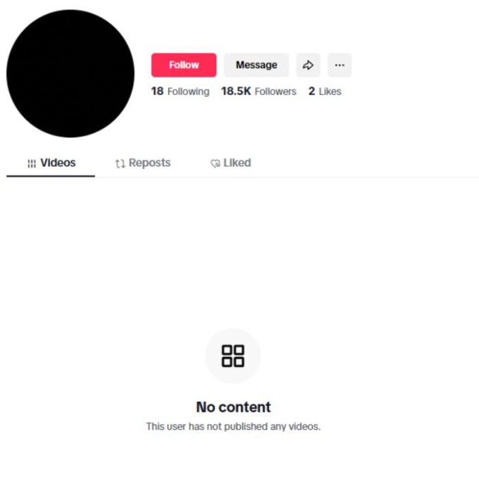 18K Blank TikTok Account for sale