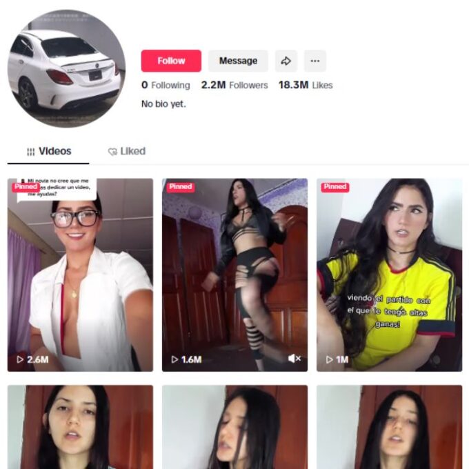 2.2M Model Girl TikTok Account for sale