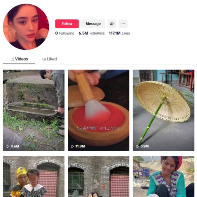 6.5M Food Health TikTok Account for sale