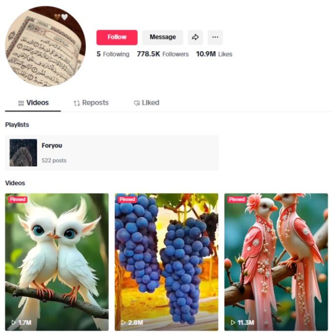 770K Religious Islamic Tiktok Account for sale