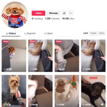 1.2M Dogs Pets TikTok Account for sale