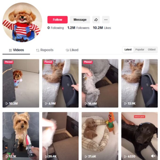 1.2M Dogs Pets TikTok Account for sale
