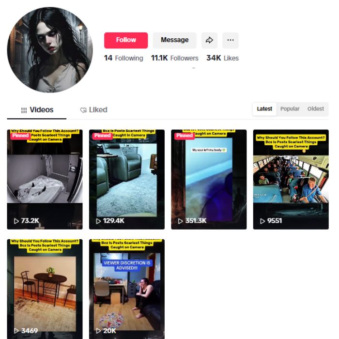 11K Horror Cam Footage TikTok Account for sale