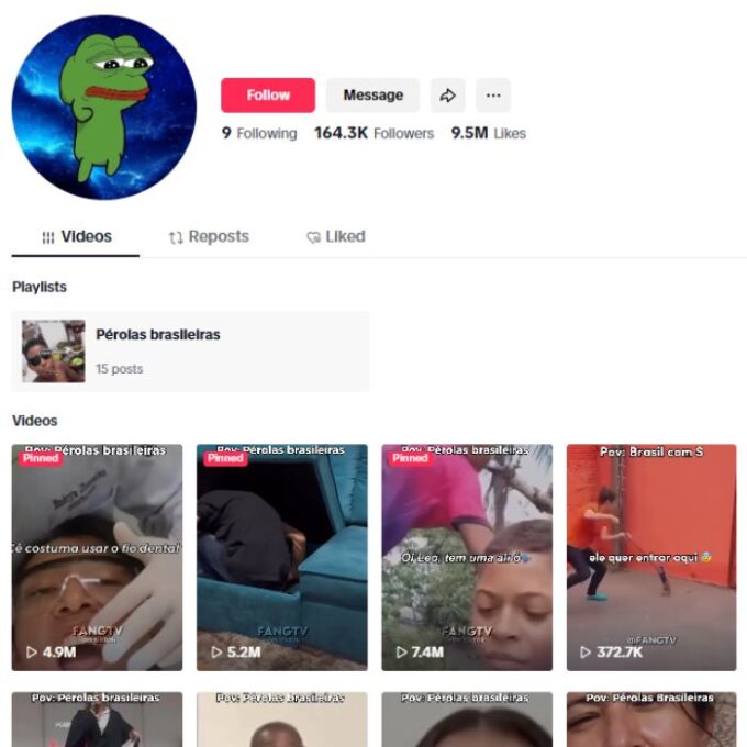 160K Memes Humor TikTok Account for sale