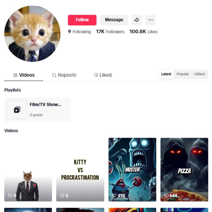 17K Conspiracy Theories TikTok Account for sale