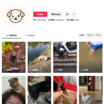 2.2M Cute Pets Dogs TikTok Account for sale