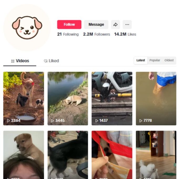 2.2M Cute Pets Dogs TikTok Account for sale