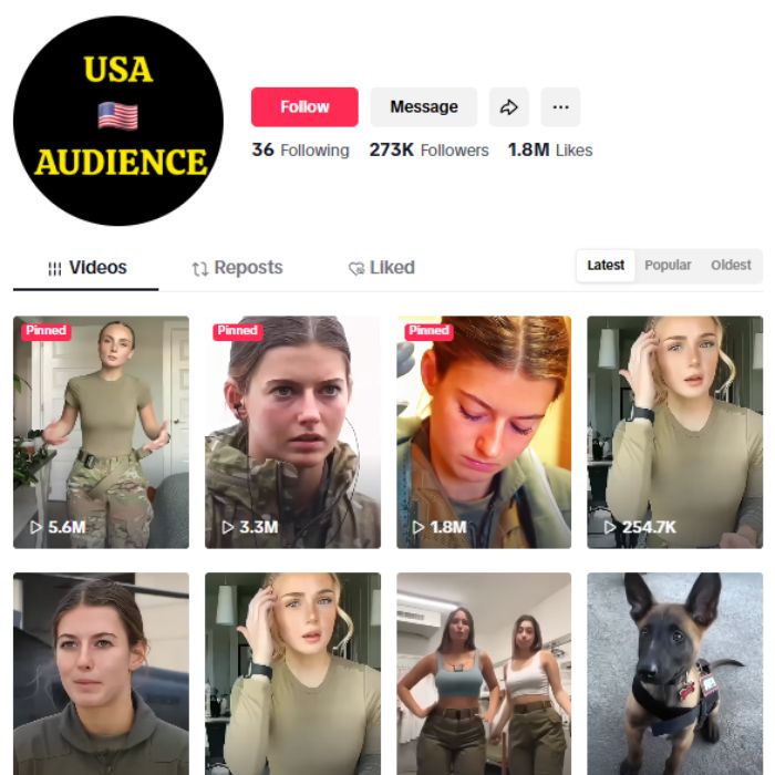 270K Military Girl Tiktok Account for sale