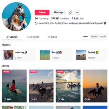 370K Horse Animals TikTok Account for sale