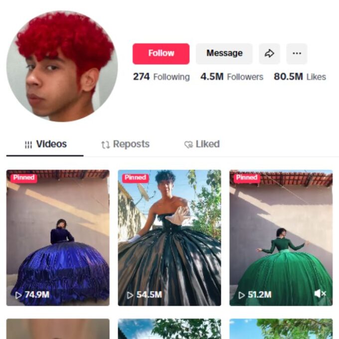 4.5M Oversized Gown Dresses TikTok Account for sale