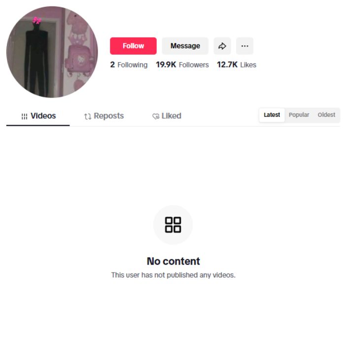 19K Blank TikTok Account for sale