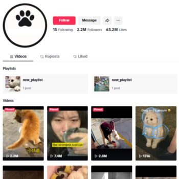 2.2M Cute Pets Dogs TikTok Account for sale