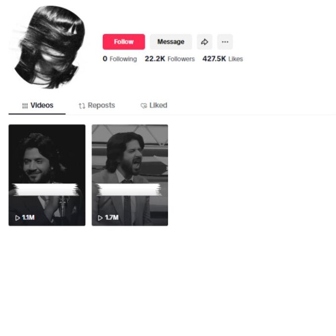 20K Poetry Quotes TikTok Account for sale