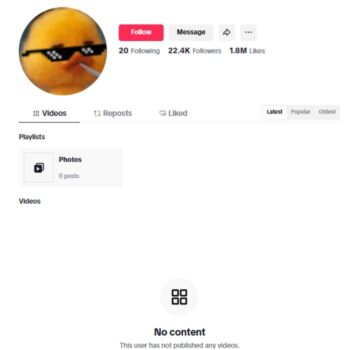 22K Blank TikTok Account for sale