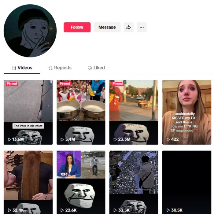 1.5M Funny Videos Humor TikTok Account for sale