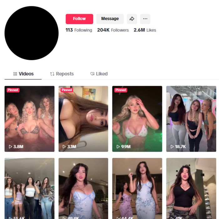 200K Hot Girls Model TikTok Account for sale