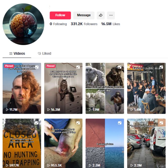 330K Entertainment Viral Tiktok Account for sale