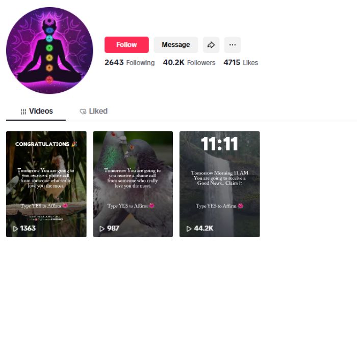 40K Motivation Success Tiktok Account for sale