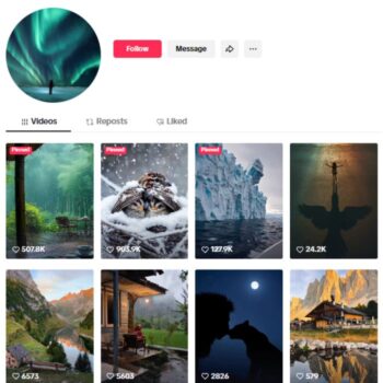 1.2M Nature Wildlife TikTok Account for sale