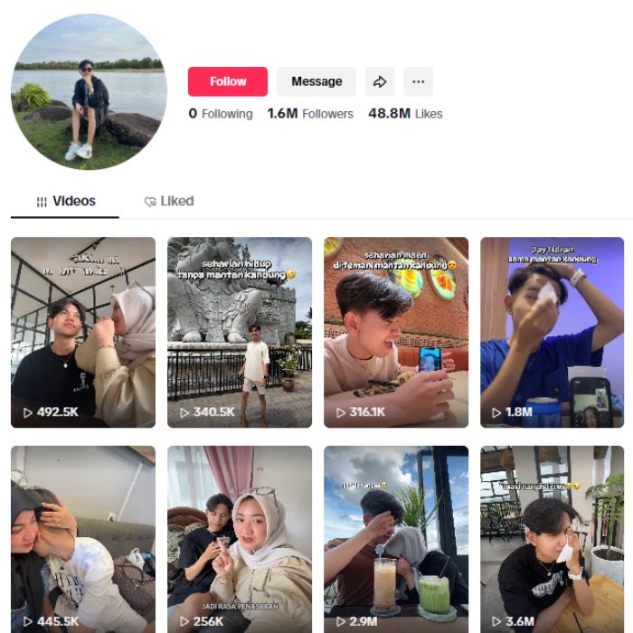 1.6M Influencer Vlog TikTok Account for sale