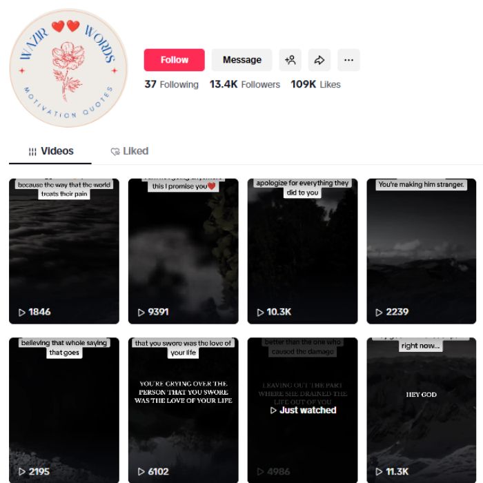 13K Motivation Philosophical Quotes Tiktok Account for sale 13K Motivation Philosophical Quotes Tiktok Account for sale