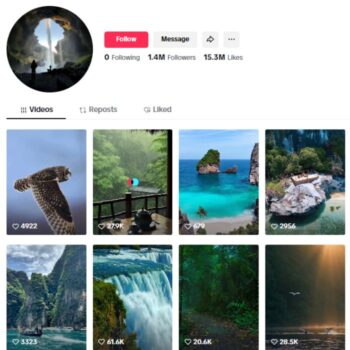 1M Beautiful Nature Animals TikTok Account for sale