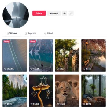 590K Animals Nature Landscapes TikTok Account for sale