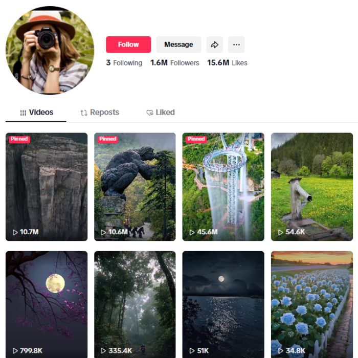 1.6M Travel Explore TikTok Account for sale
