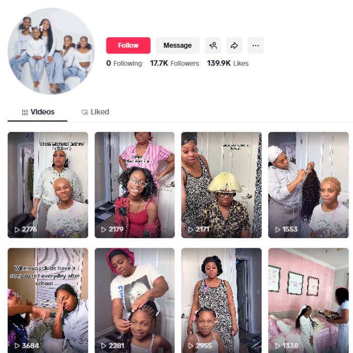 17K Family Vlog Entertainment Tiktok Account for sale