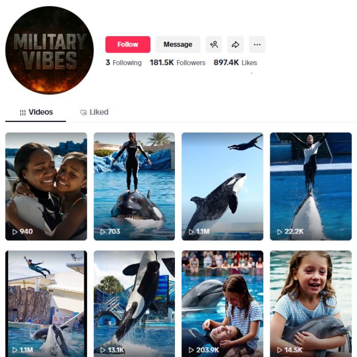 180K Whale Orcas TikTok Account for sale