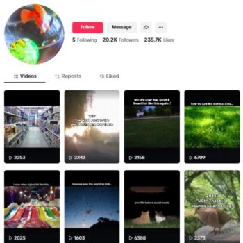 20K Nostalgia Aesthetics Tiktok Account for sale