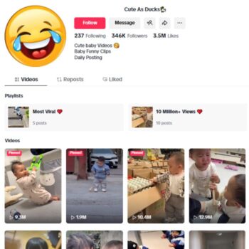 340K Ducks Pets Animals TikTok Account for sale