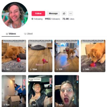 9K Golden Retriever Pets TikTok Account for sale