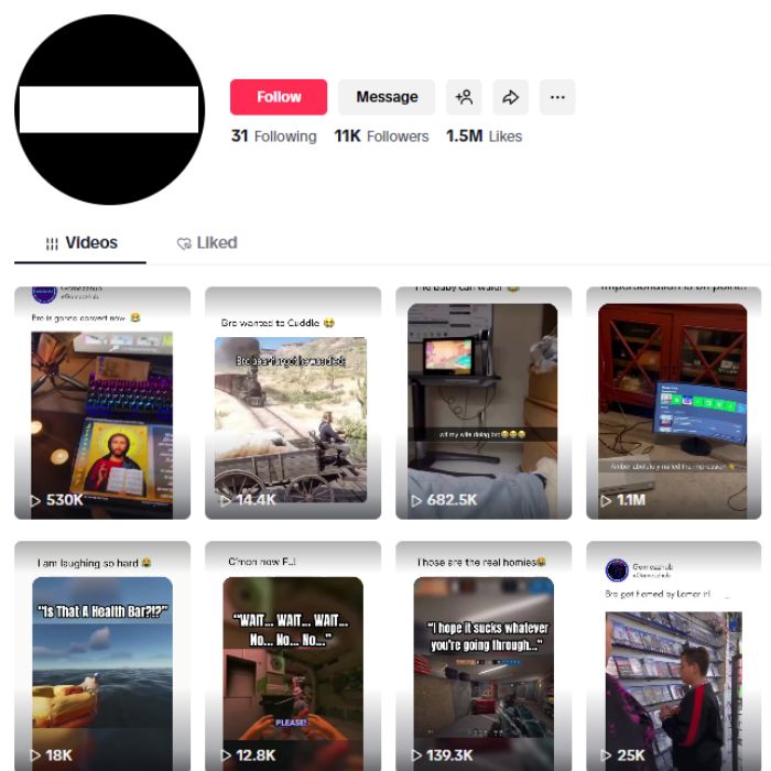 11K Gaming Memes TikTok Account for sale