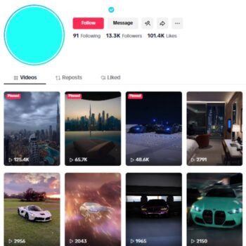 13K Verified Tiktok Account for sale