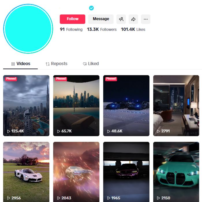 13K Verified Tiktok Account for sale