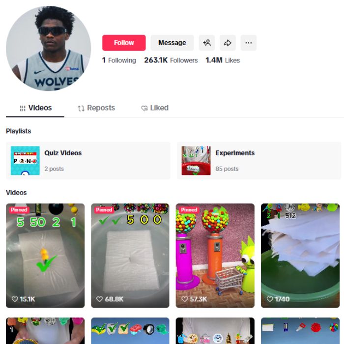 260K DIY Satisfying Tricks TikTok Account for sale