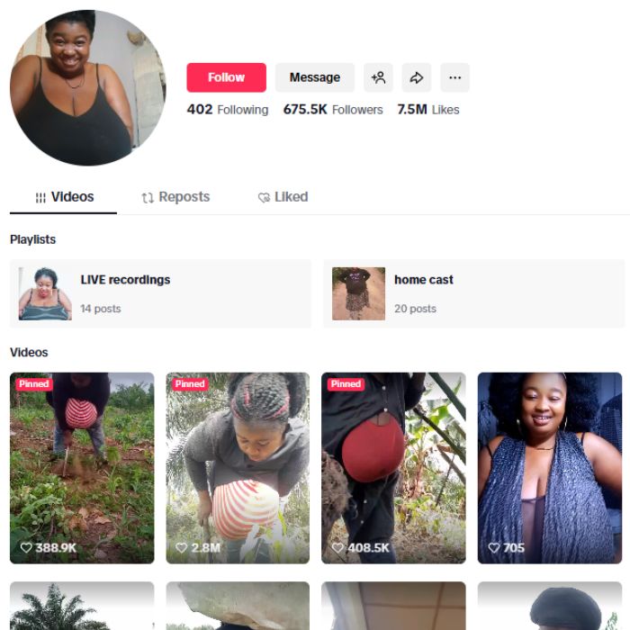 670K Bosomy Woman Tiktok Account for sale